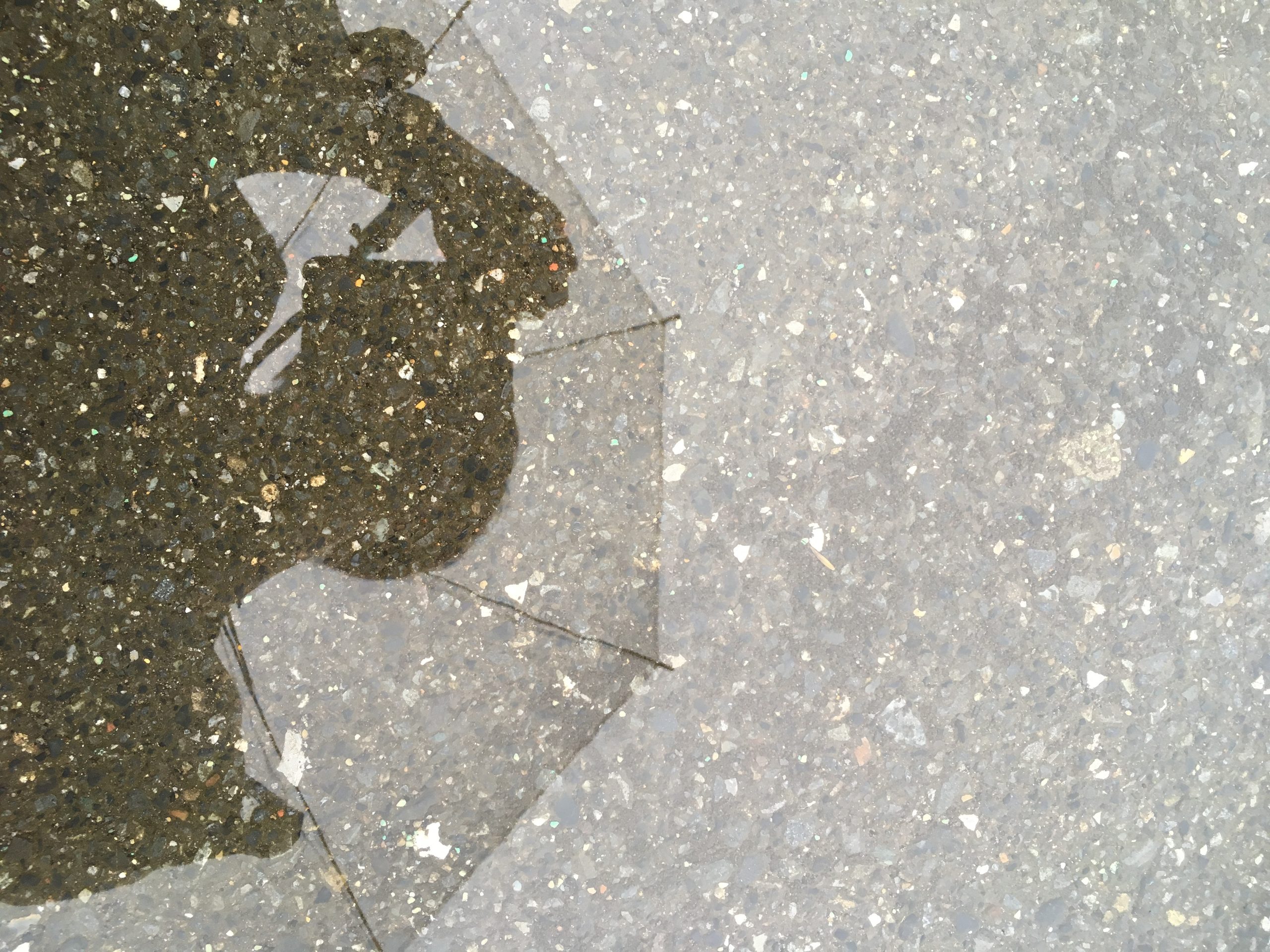 雨に濡れた路面を傘を差して歩く人
